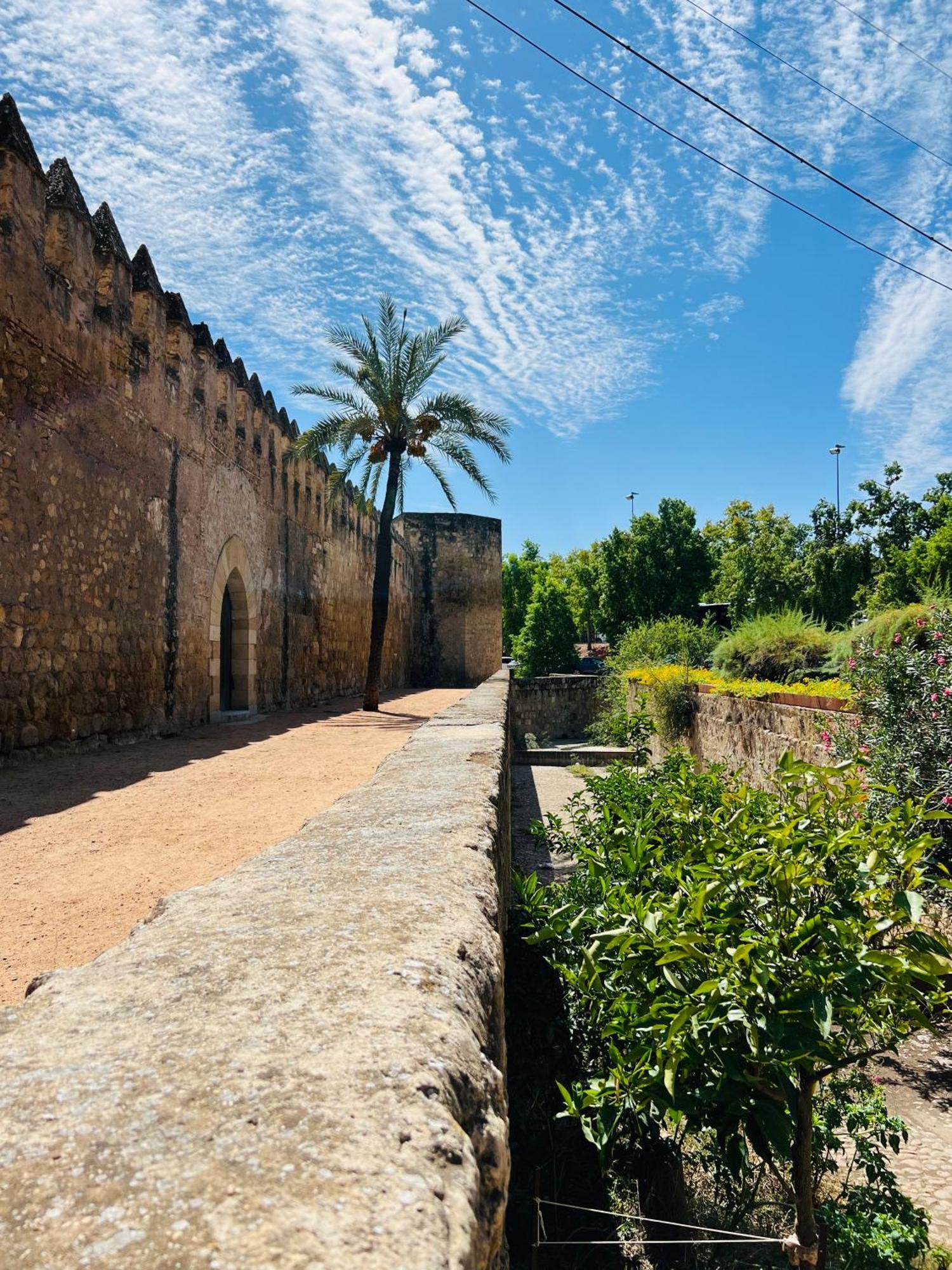 Apartamento La Muralla 科爾多瓦 外观 照片